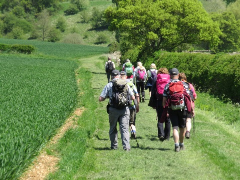 Walking your way to better all-round health